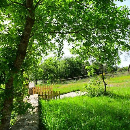 Casinha Rubiaes Villa Паредес де Коура Екстериор снимка